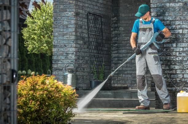 Best Soft Washing  in Wildwood, FL